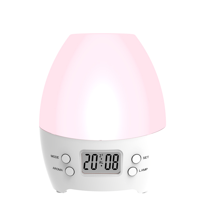 KT010